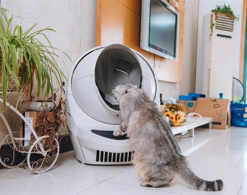 Pet Market Trends in China for 2023 - Litter-Robot